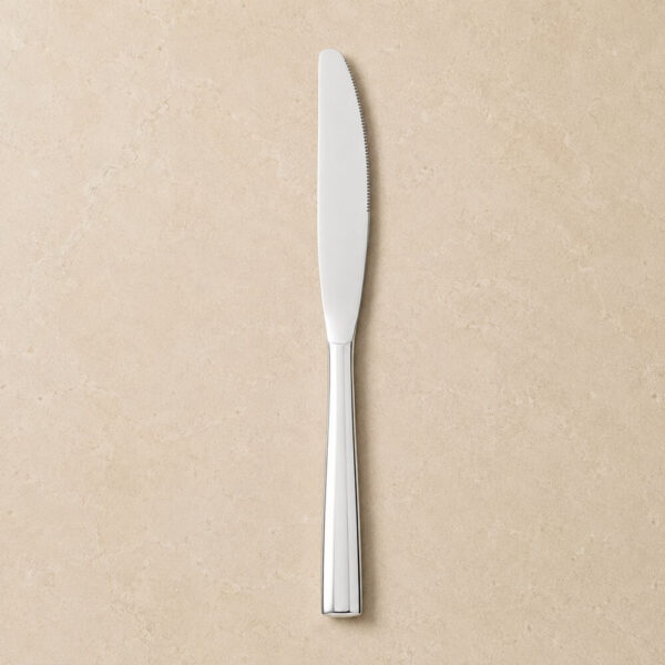SET DE CUBIERTOS 24 PCS METAL CUCHILLO