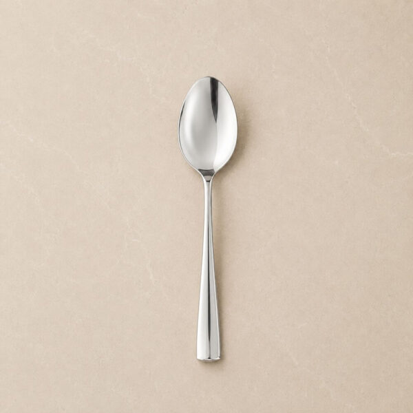 SET DE CUBIERTOS 24 PCS METAL CUCHARA PARA POSTRE